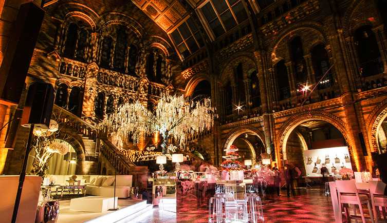 Hintze Hall at the Natural History Museum