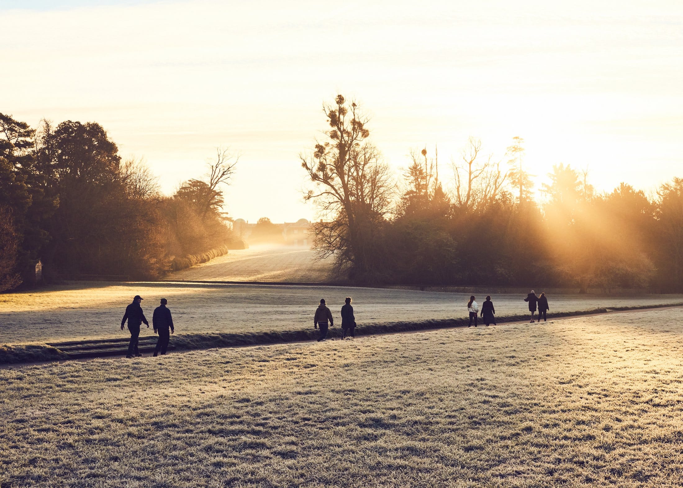 Goodwood Estate walk on a frosty morning Jonathan James Wilson